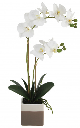 Орхидея в керамическом кашпо 1/2 53см белая