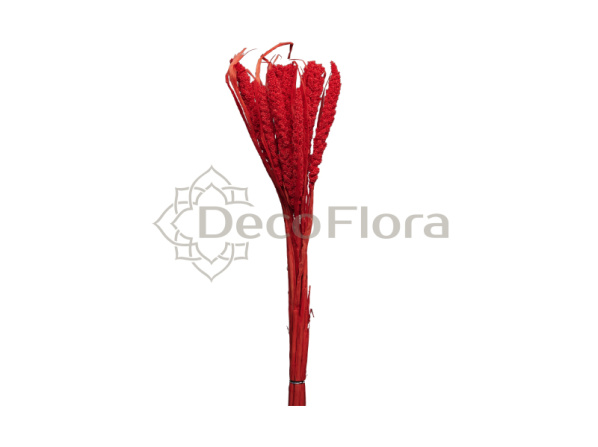 Сетария 75см красная из 10-ти штук 100г