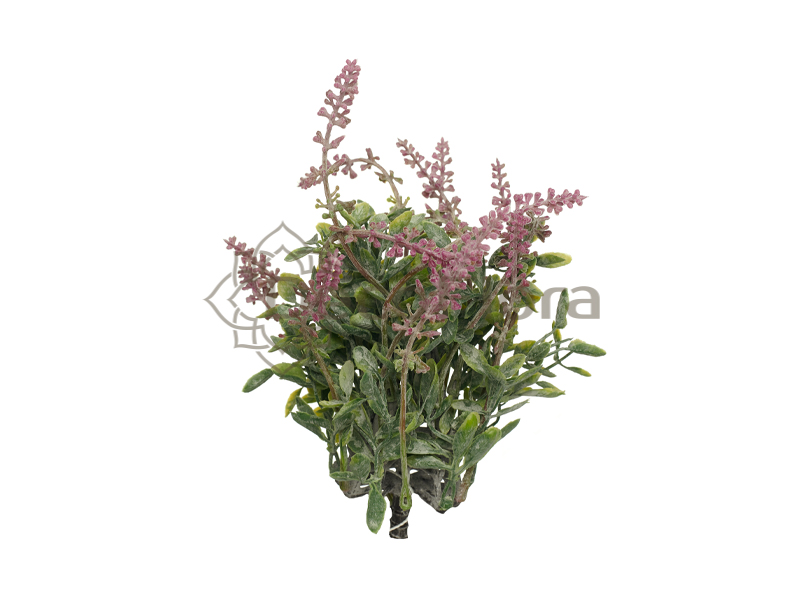 Галерея товара - 