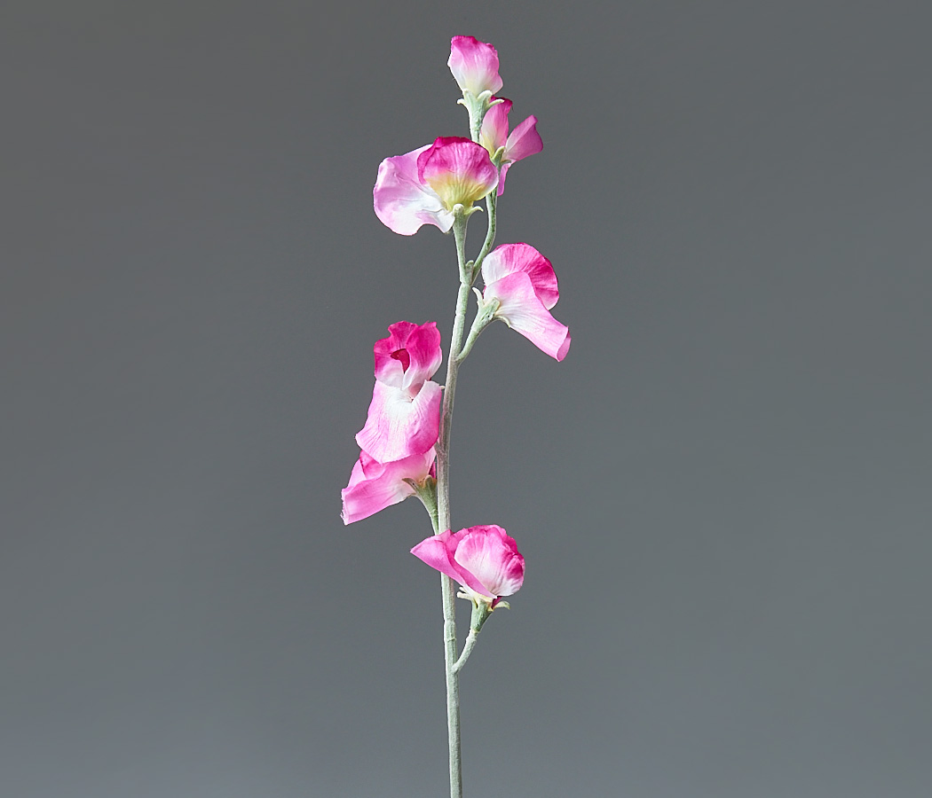 Галерея товара - 